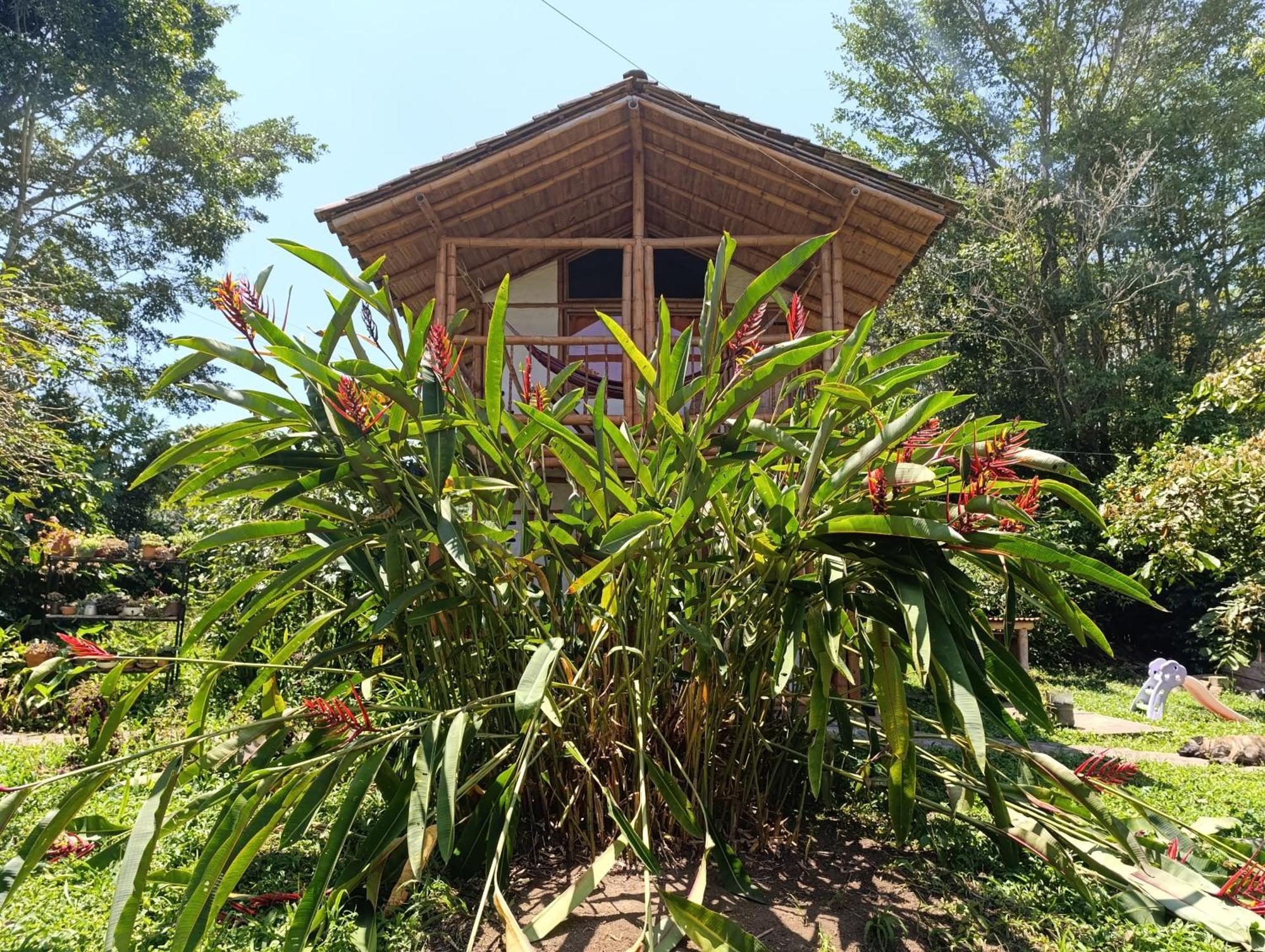 Casa Entera Finca Cometa San Agustín Eksteriør bilde