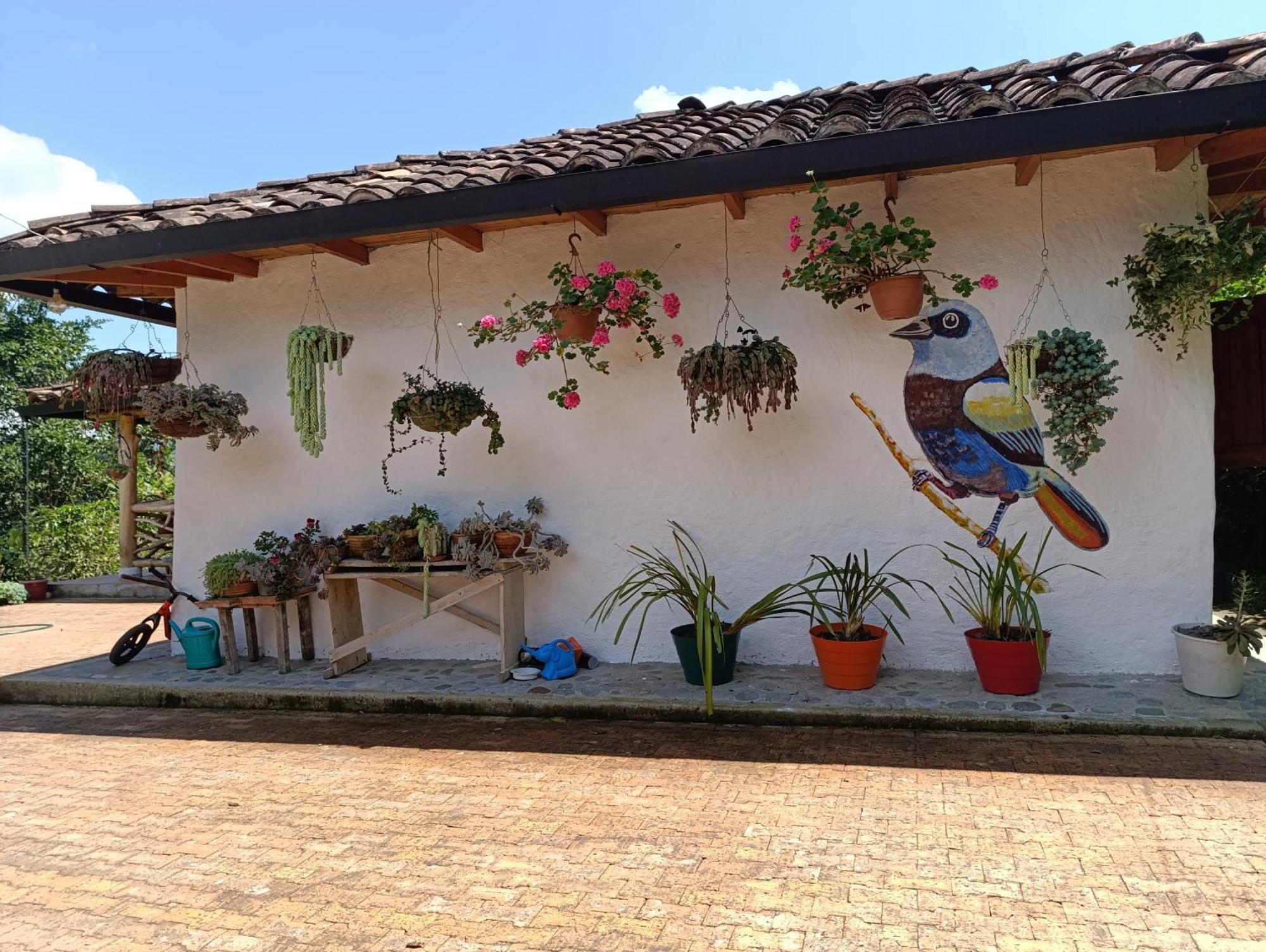 Casa Entera Finca Cometa San Agustín Eksteriør bilde