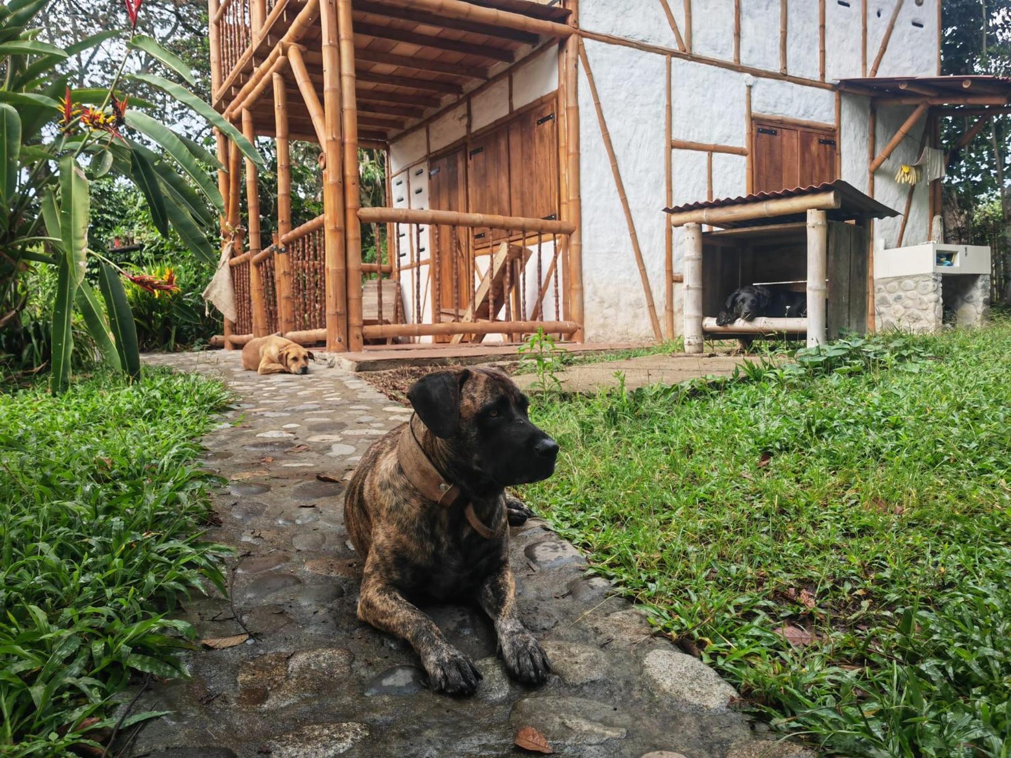 Casa Entera Finca Cometa San Agustín Eksteriør bilde