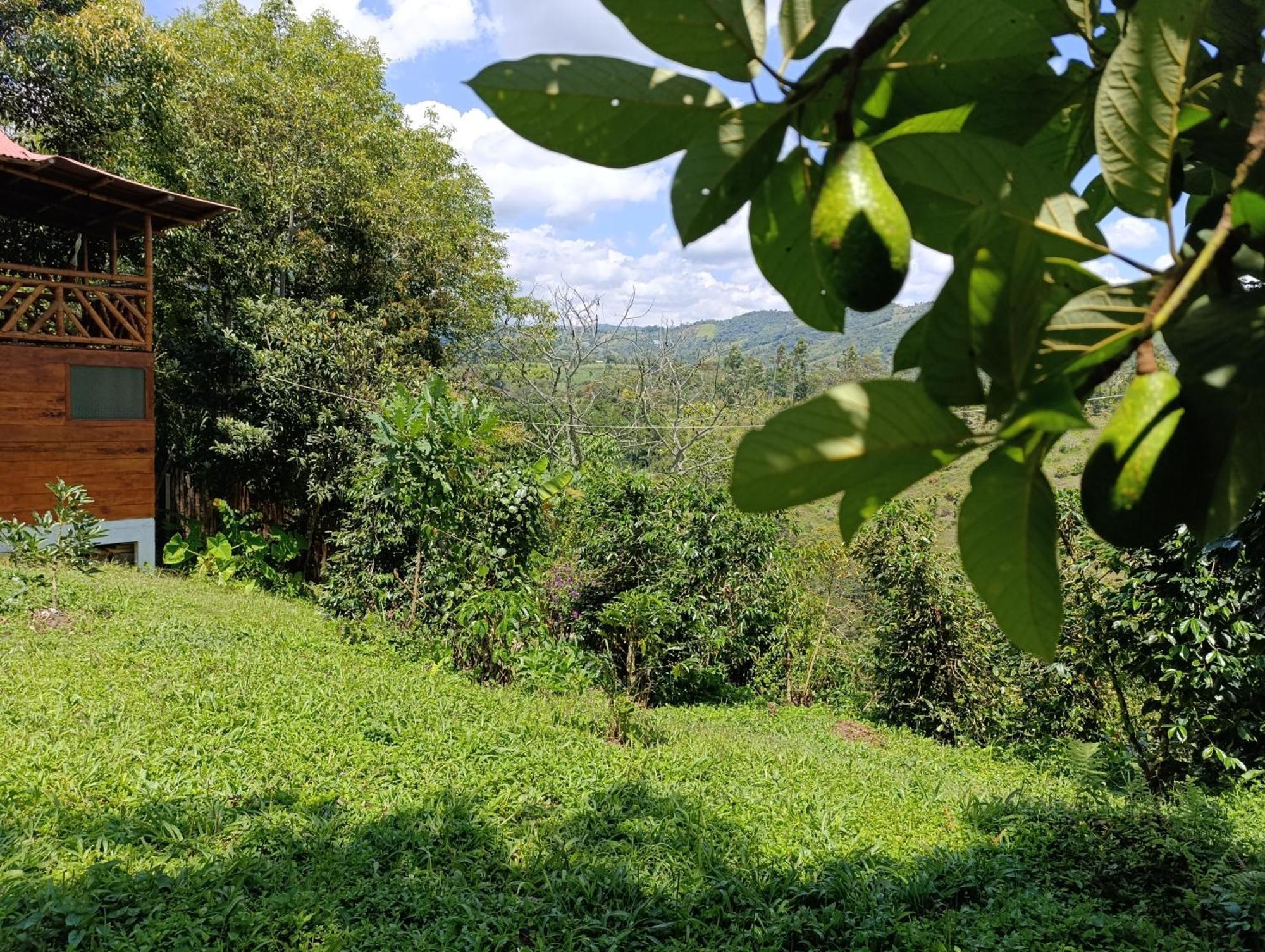Casa Entera Finca Cometa San Agustín Eksteriør bilde