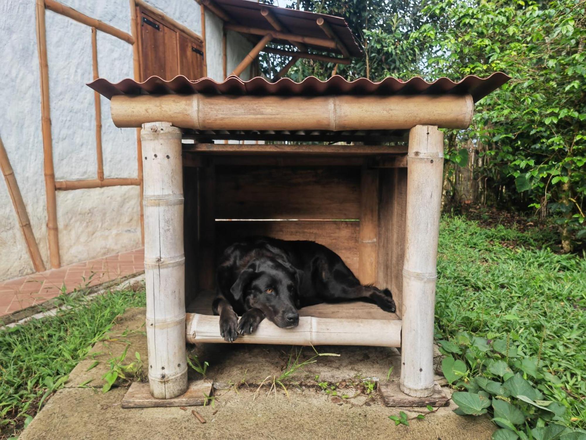 Casa Entera Finca Cometa San Agustín Eksteriør bilde