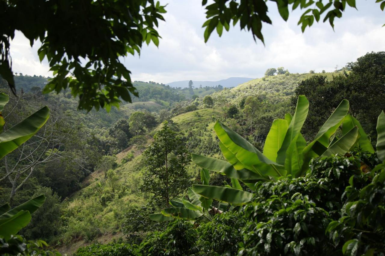 Casa Entera Finca Cometa San Agustín Eksteriør bilde